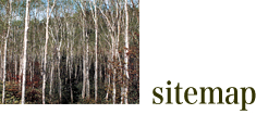 sitemap